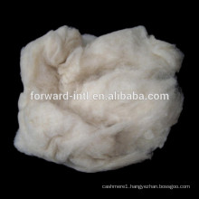 100% Pure dehaired mongolian light grey / brown cashmere for yarn spinning